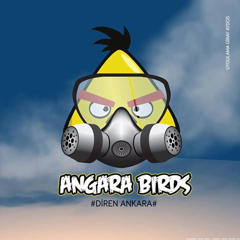 482600_393998527385228_703070928_n