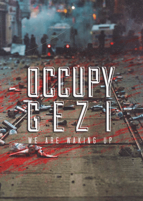 occupy_gezi_street