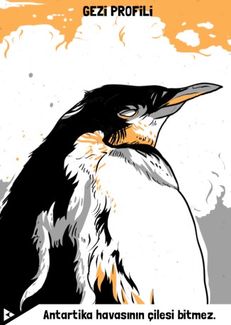 berkay_daglar_penguin